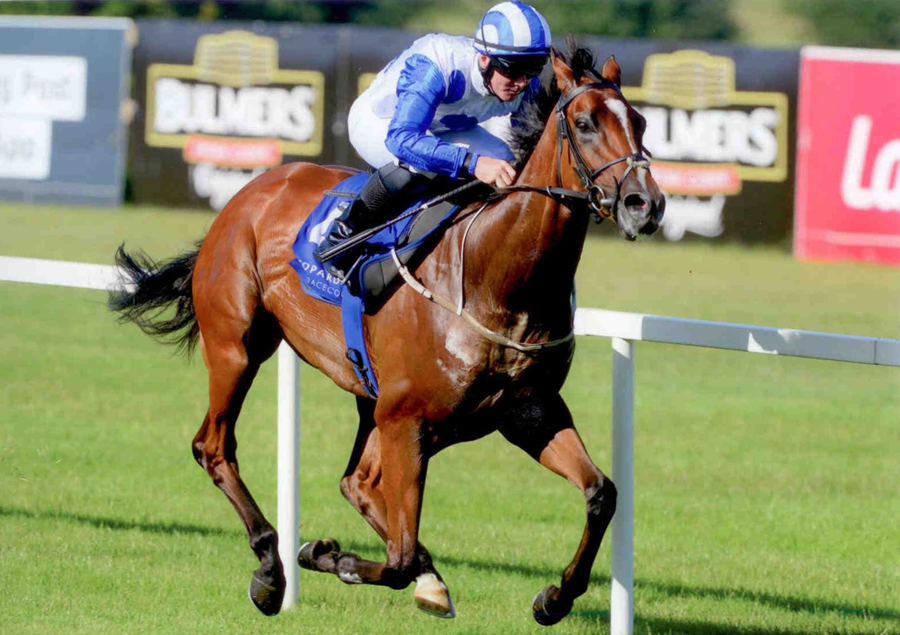 SAXO JACK - Winning at Leopardstown 11th July 2013.